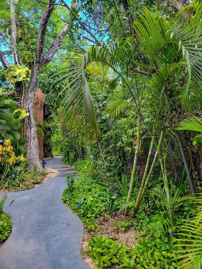 Maui Hostels Tulum Exterior photo